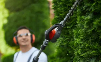 Élagage d'un arbre fruitier par un professionnel à Montreuil.